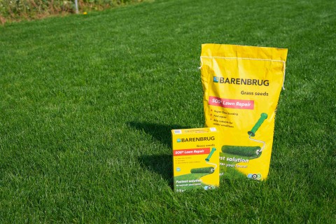 SOS Lawn Repair 1.jpg